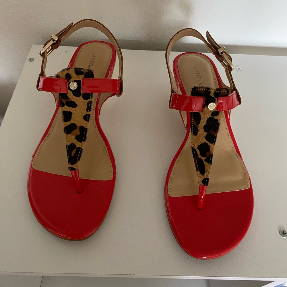 Antonio Melani Sandals Size 6M